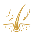 Hair collecting in drains and brushes
