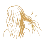 Oily roots with dry ends